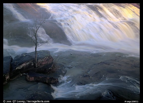 Tree and waterfall at sunrise in High Falls State Park. Georgia, USA