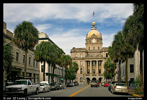 Street and Savannah City Hall. Savannah, Georgia, USA