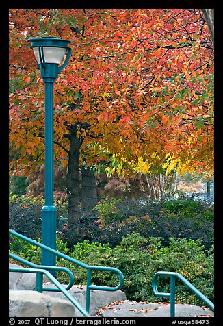 Lamp and autumn colors, Centenial Olympic Park. Atlanta, Georgia, USA