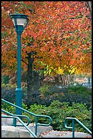 Lamp and autumn colors, Centenial Olympic Park. Atlanta, Georgia, USA ( color)