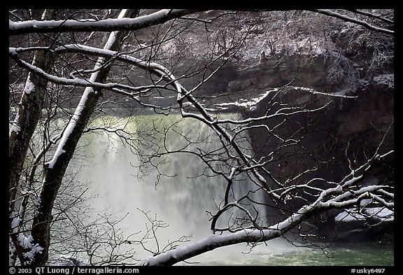 Snow-covered branch and Cumberland falls. Kentucky, USA