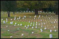 Headstones and trees, Vicksburg National Military Park. Vicksburg, Mississippi, USA (color)