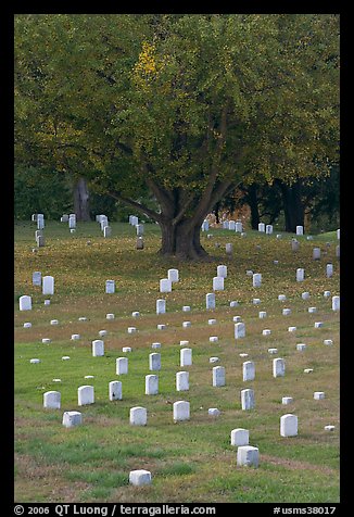 Cemetery, Vicksburg National Military Park. Vicksburg, Mississippi, USA (color)