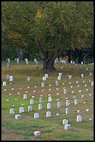 Cemetery, Vicksburg National Military Park. Vicksburg, Mississippi, USA