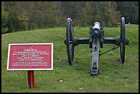 Confederate position marker and cannon, Vicksburg National Military Park. Vicksburg, Mississippi, USA (color)