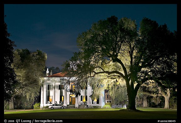 Antebellum mansion set in garden with  backlit oak tree at night. Natchez, Mississippi, USA (color)