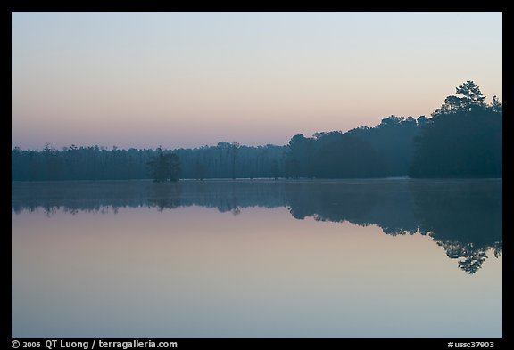 Lake at dawn. South Carolina, USA (color)