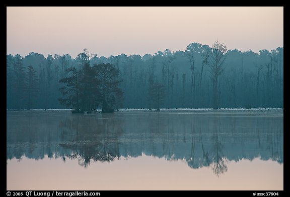 Lake with cypress and dawn. South Carolina, USA