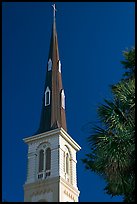 Tall church steeple. Charleston, South Carolina, USA ( color)