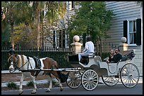 Couple on horse carriage tour of historic district. Charleston, South Carolina, USA