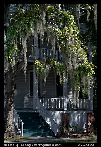Spanish moss and balcony house. Beaufort, South Carolina, USA (color)