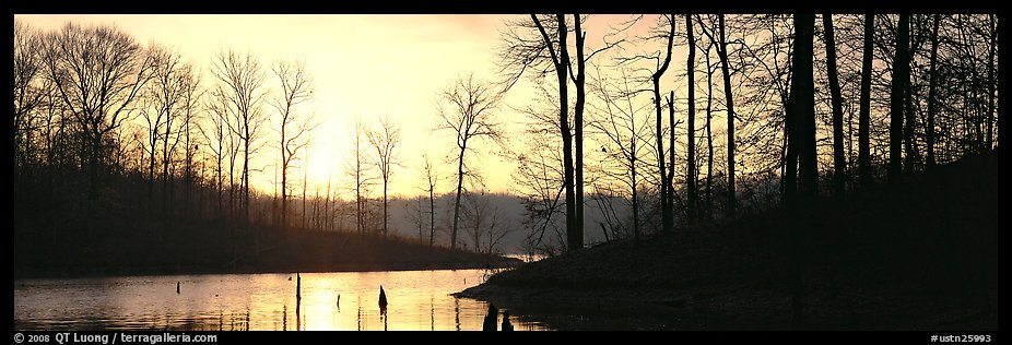 Winter landscape with bare trees and pond at sunrise. Tennessee, USA (color)
