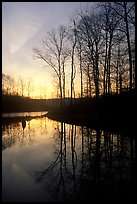 Sunrise over a pond. Tennessee, USA