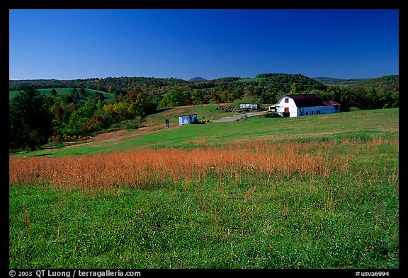 Meadow and barn. Virginia, USA (color)