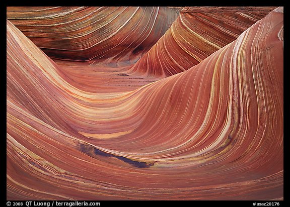 The Wave, main formation. Coyote Buttes, Vermilion cliffs National Monument, Arizona, USA (color)