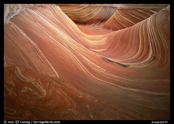 Ondulating stripes, the Wave. Coyote Buttes, Vermilion cliffs National Monument, Arizona, USA