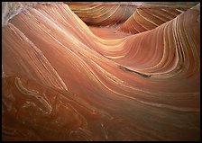 Ondulating stripes, the Wave. Coyote Buttes, Vermilion cliffs National Monument, Arizona, USA ( color)