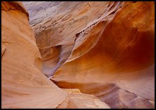 Water Holes Canyon. USA ( color)