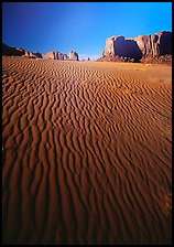 Ripples on sand dunes and mesas, late afternoon. USA ( color)