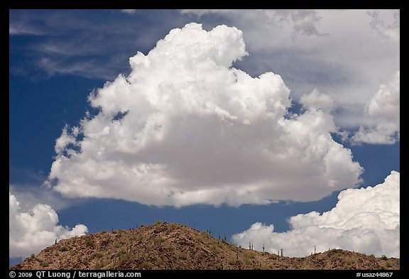 Cloud and ridge with saguaro cactus, Sonoran Desert National Monument. Arizona, USA