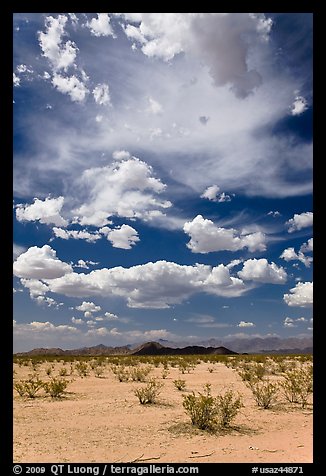Sandy flat and clouds, South Maricopa Mountains. Sonoran Desert National Monument, Arizona, USA