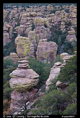 Rhyolite spires. Chiricahua National Monument, Arizona, USA (color)