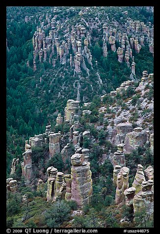Rhyolite columns. Chiricahua National Monument, Arizona, USA (color)