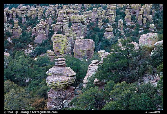 Rhyolite pinnacles. Chiricahua National Monument, Arizona, USA (color)