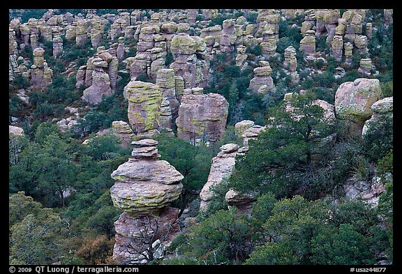 Rhyolite pinnacles. Chiricahua National Monument, Arizona, USA