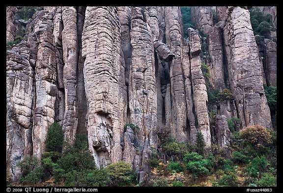 Organ pipe volcanic rock formations. Chiricahua National Monument, Arizona, USA (color)