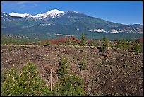 Lava fields and snow-capped San Francisco Peaks. Sunset Crater Volcano National Monument, Arizona, USA