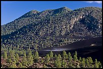 Cinder-covered slopes, Sunset Crater Volcano National Monument. Arizona, USA (color)