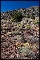 Volcanic hillside, Wupatki National Monument. Arizona, USA (color)