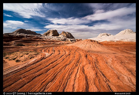 Red swirl, White Pocket. Vermilion Cliffs National Monument, Arizona, USA (color)