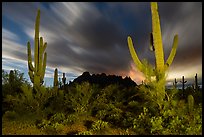 Cactus and Ragged top with moving clouds at night. Ironwood Forest National Monument, Arizona, USA ( color)