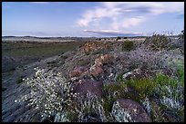 Silver Creek Canyon rim. Agua Fria National Monument, Arizona, USA ( color)