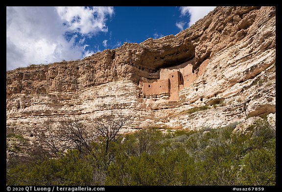Sinagua cliff dwelling, Montezuma Castle National Monument. Arizona, USA (color)