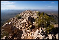 Waterman Peak summit. Ironwood Forest National Monument, Arizona, USA ( color)