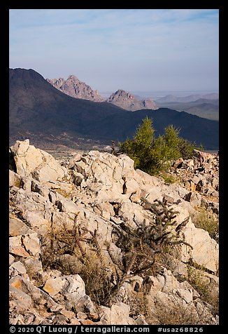 Ragged Top, and Wolcott Peak from Waterman Mountains. Ironwood Forest National Monument, Arizona, USA