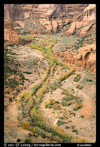Canyon de Chelly seen from Spider Rock Overlook. Canyon de Chelly  National Monument, Arizona, USA (color)
