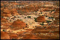 Sandstone mounds. Coyote Buttes, Vermilion cliffs National Monument, Arizona, USA ( color)