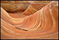 The Wave, main formation. Coyote Buttes, Vermilion cliffs National Monument, Arizona, USA