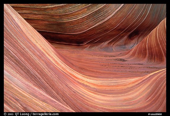 Sandstone striations in the Wave. Coyote Buttes, Vermilion cliffs National Monument, Arizona, USA (color)