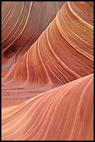 Ondulating rock formation, the Wave. Coyote Buttes, Vermilion cliffs National Monument, Arizona, USA ( color)