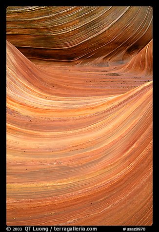 Ondulating sandstone stripes, The Wave. Coyote Buttes, Vermilion cliffs National Monument, Arizona, USA