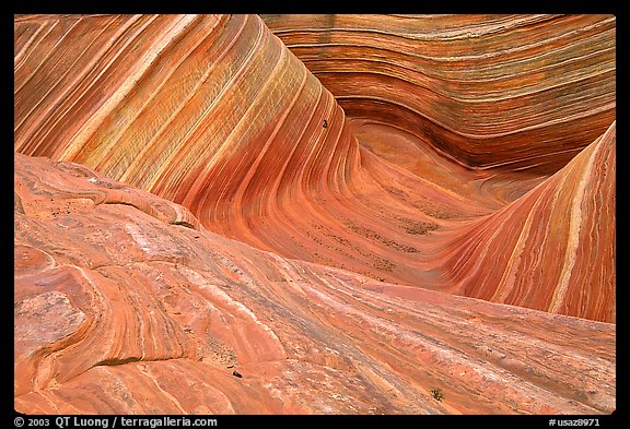 The Wave, main formation, seen from the top. Vermilion Cliffs National Monument, Arizona, USA (color)