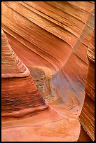 The Wave, lateral formation. Vermilion Cliffs National Monument, Arizona, USA ( color)