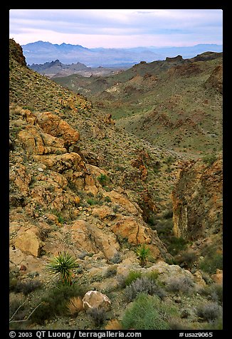 Desert mountains. Arizona, USA (color)