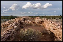 Ruined walls, Lowry Pueblo. Canyon of the Ancients National Monument, Colorado, USA ( color)
