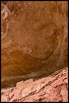 Cliff dwelling under Entrada Sandstone alcove roof. Canyon of the Ancients National Monument, Colorado, USA ( color)